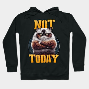 yeti-not-today Hoodie